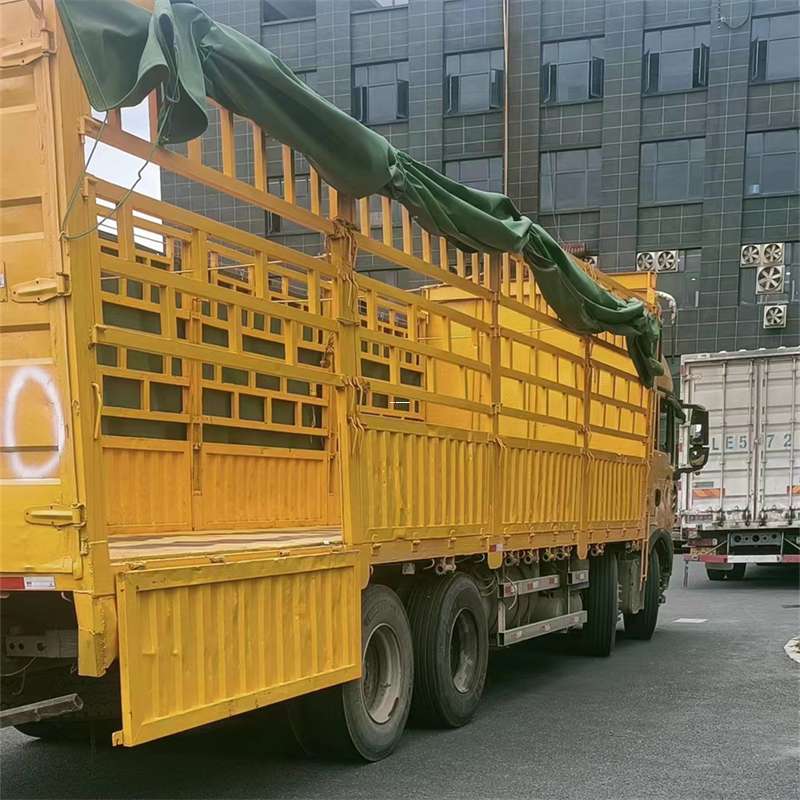 赤坎区吉安市物流：多元服务与高效运输线路探秘