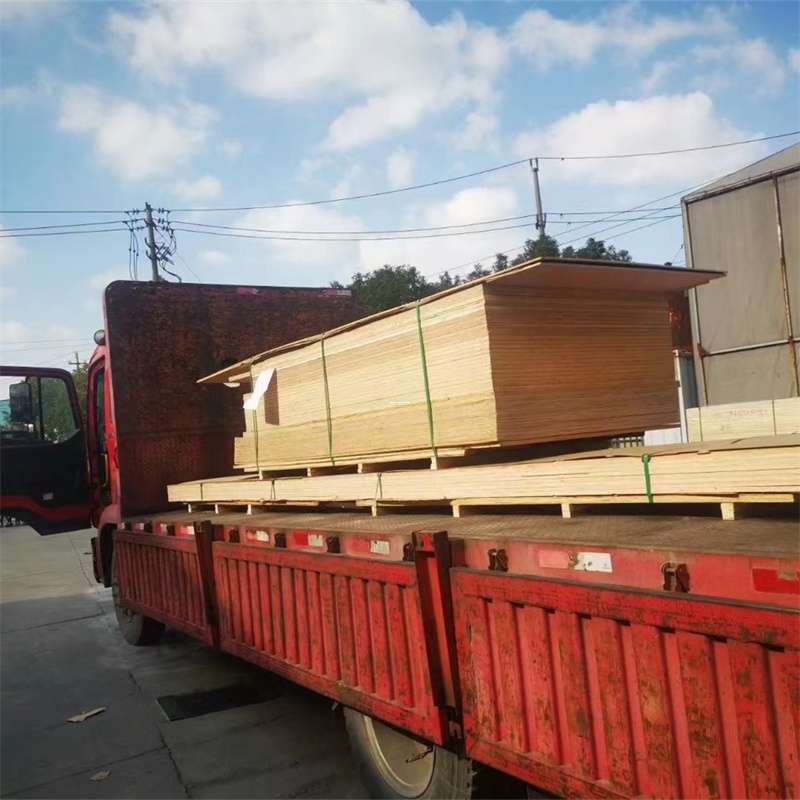 赤坎区通化市物流运输：多元服务与高效线路探秘