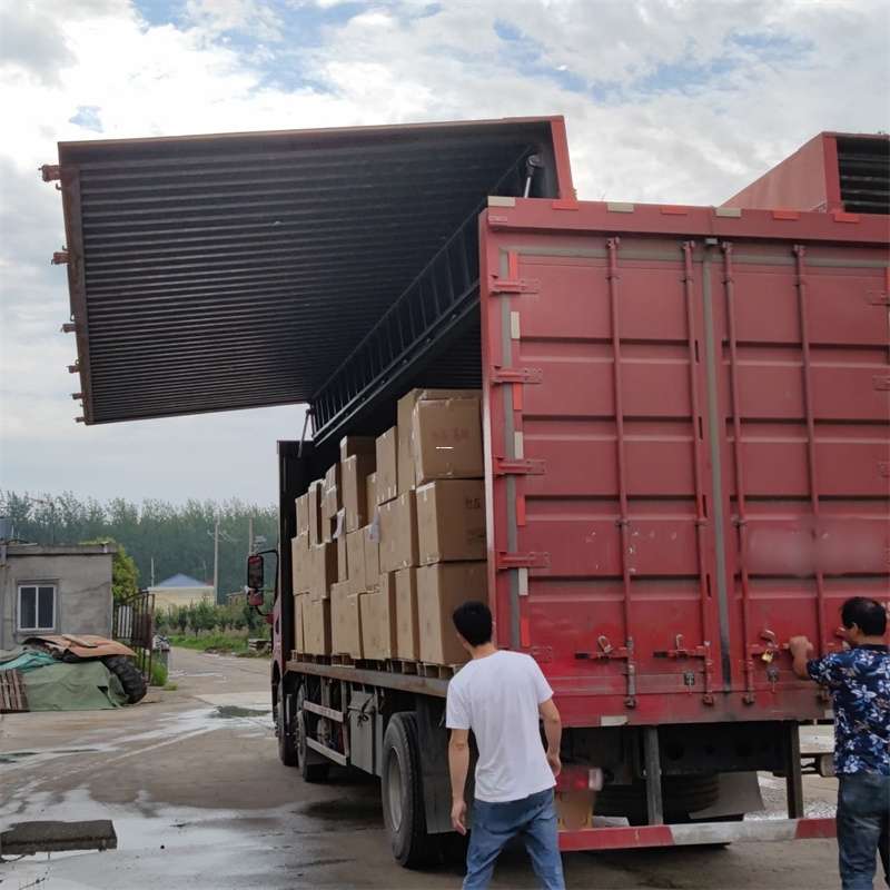 赤坎区扎囊县：物流专线的高效货运之旅